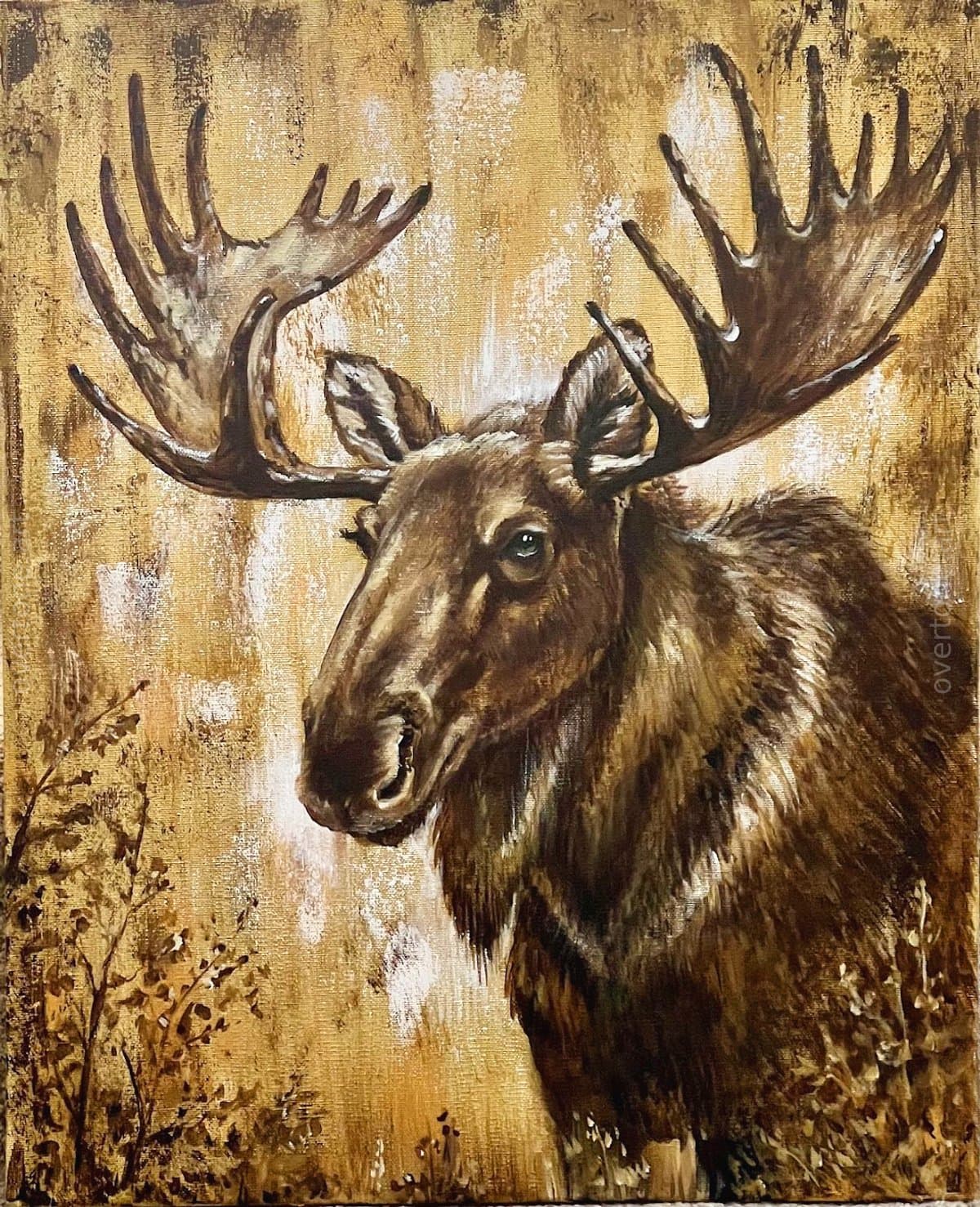 Guardians of the Forest: Moose