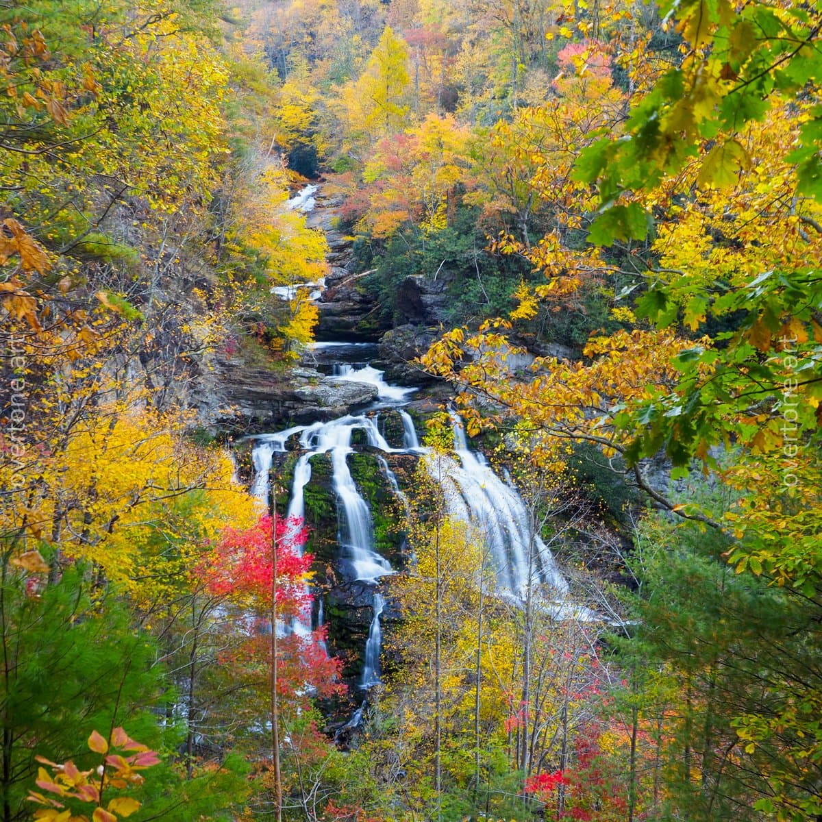 A multi-tiered waterfall descends through a forested ravine framed by yellow, red, and green autumn leaves under soft overcast light.