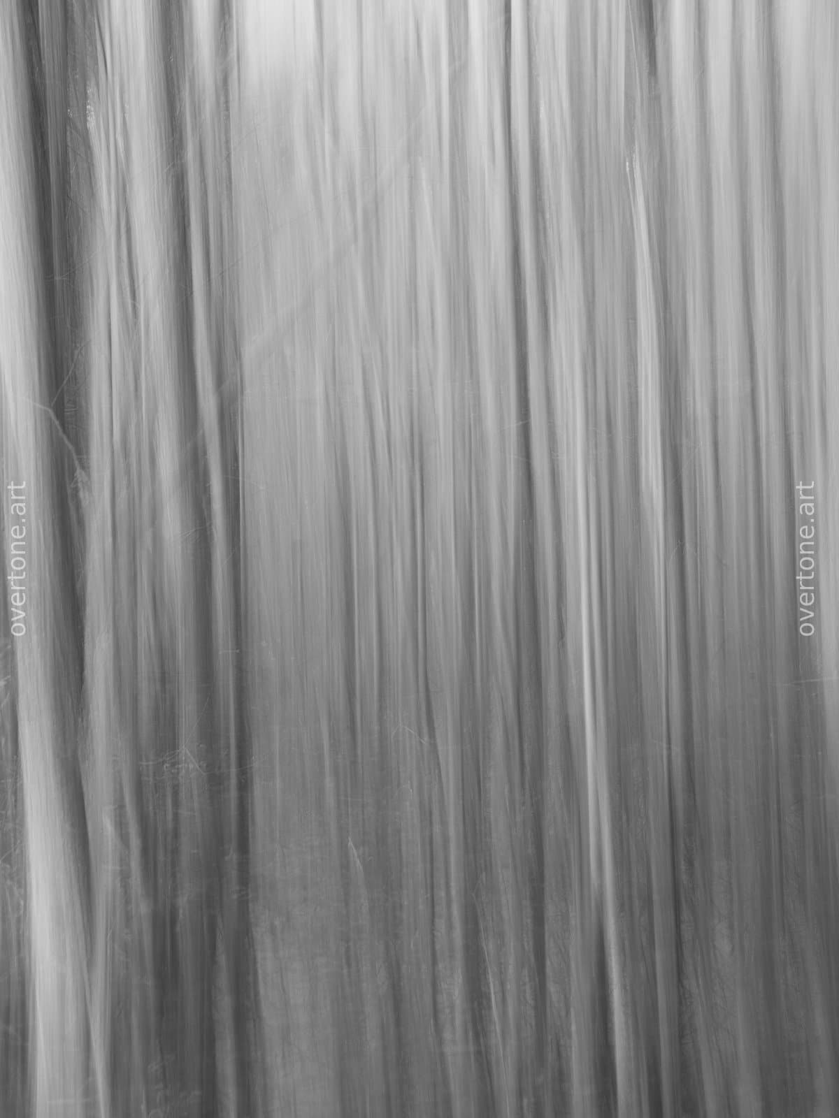 Vertical streaks of soft grey and white blur fill the frame, formed by the motion-blurred trunks of bare trees.